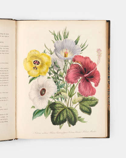 First edition of Jane Loudon's Ladies' Flower Garden of Ornamental Greenhouse Plants, handsomely bound in green morocco by Wareing Webb of Liverpool.