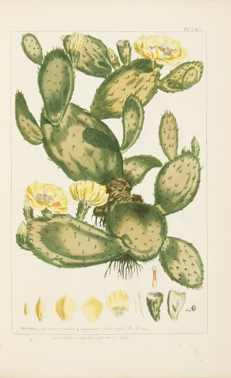 First edition of Philip Miller's Figures of the Most Beautiful, Useful and Uncommon Plants, one the most decorative botanical works of the eighteenth century. 