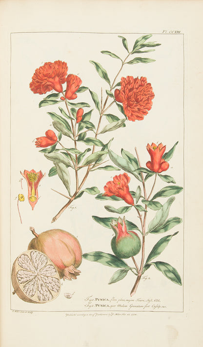 First edition of Philip Miller's Figures of the Most Beautiful, Useful and Uncommon Plants, one the most decorative botanical works of the eighteenth century. 