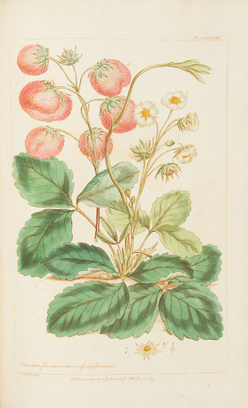 First edition of Philip Miller's Figures of the Most Beautiful, Useful and Uncommon Plants, one the most decorative botanical works of the eighteenth century. 