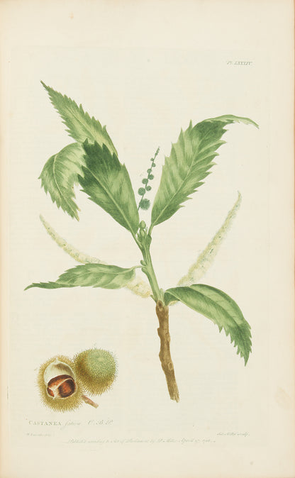 First edition of Philip Miller's Figures of the Most Beautiful, Useful and Uncommon Plants, one the most decorative botanical works of the eighteenth century. 