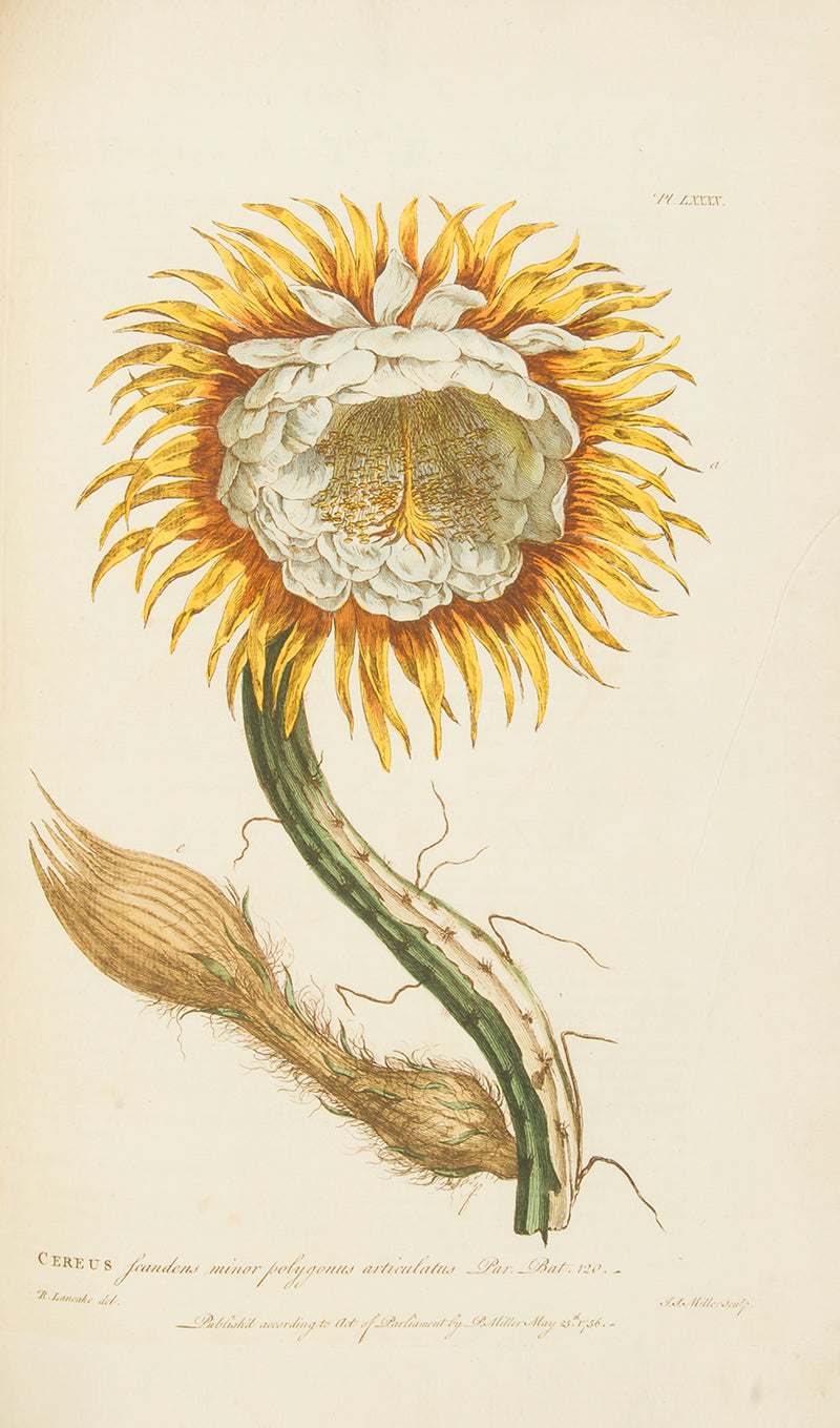 First edition of Philip Miller's Figures of the Most Beautiful, Useful and Uncommon Plants, one the most decorative botanical works of the eighteenth century. 