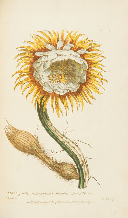 First edition of Philip Miller's Figures of the Most Beautiful, Useful and Uncommon Plants, one the most decorative botanical works of the eighteenth century. 