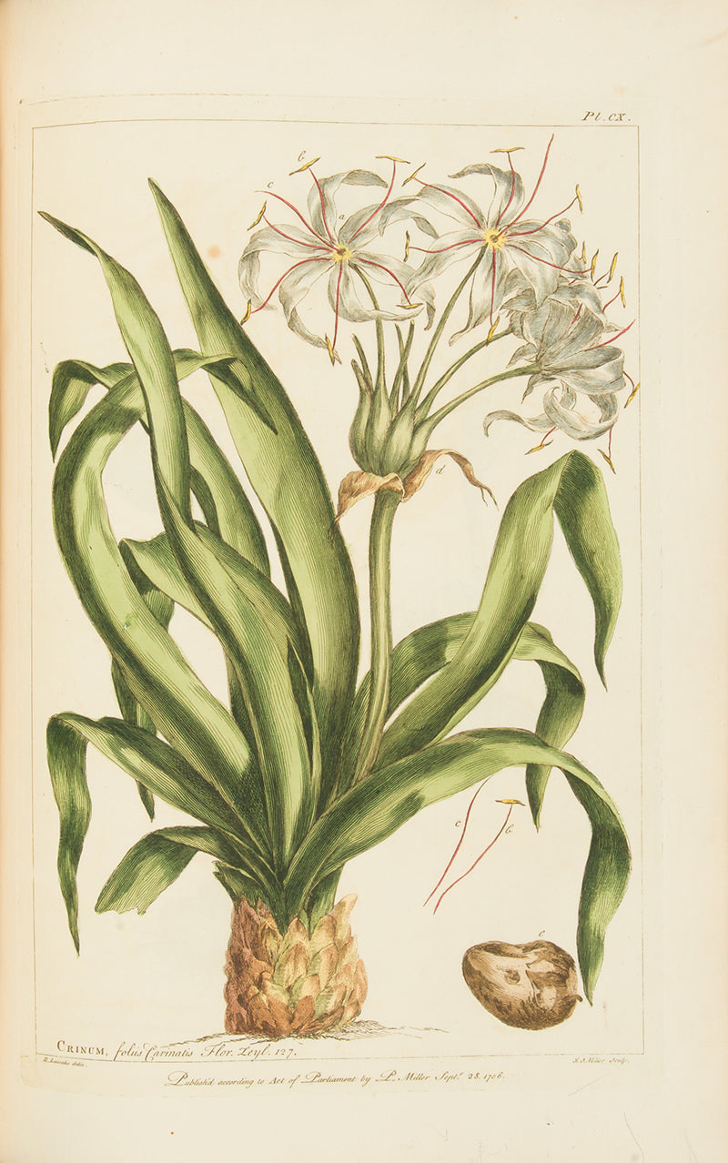 First edition of Philip Miller's Figures of the Most Beautiful, Useful and Uncommon Plants, one the most decorative botanical works of the eighteenth century. 