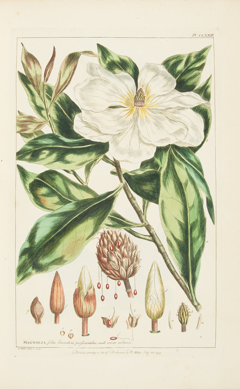 First edition of Philip Miller's Figures of the Most Beautiful, Useful and Uncommon Plants, one the most decorative botanical works of the eighteenth century. 