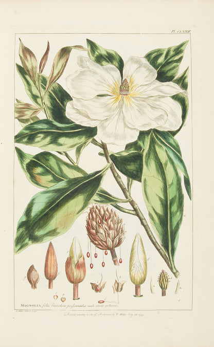 First edition of Philip Miller's Figures of the Most Beautiful, Useful and Uncommon Plants, one the most decorative botanical works of the eighteenth century. 