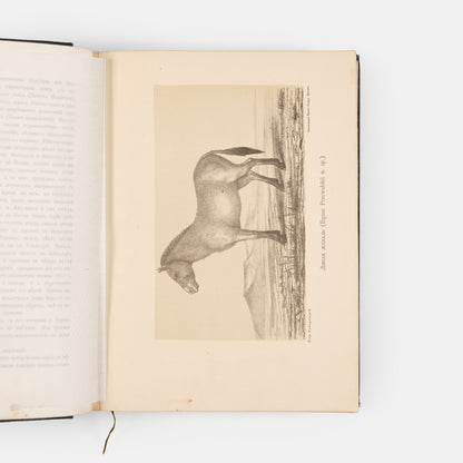 The scarce first edition of Przhevalsky's third expedition.