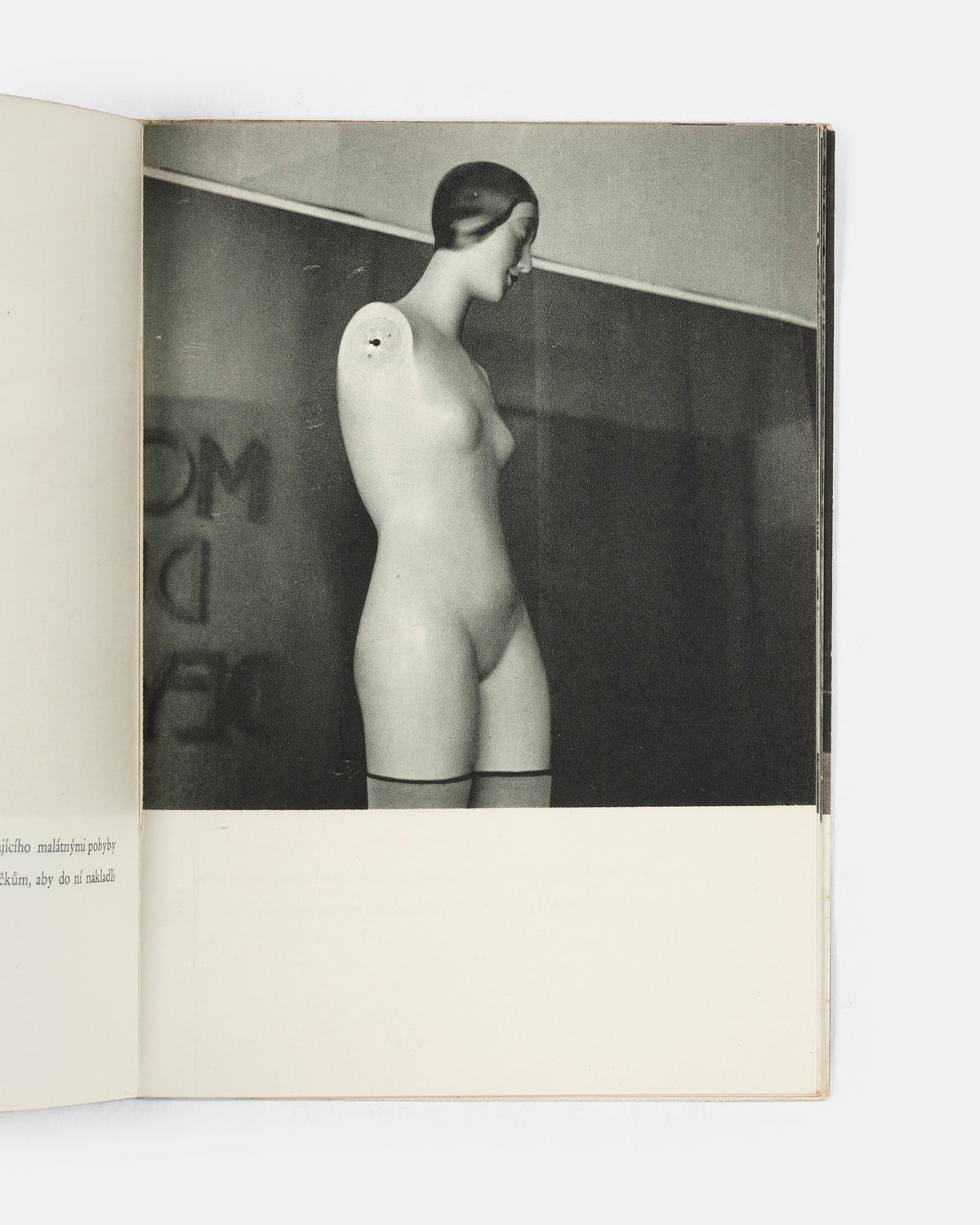 First edition thus of this meditation on resistance, after the scarce original clandestine version with gelatin silver photographs produced by the artists in a small number of copies during the Nazi occupation of Czechoslovakia. 