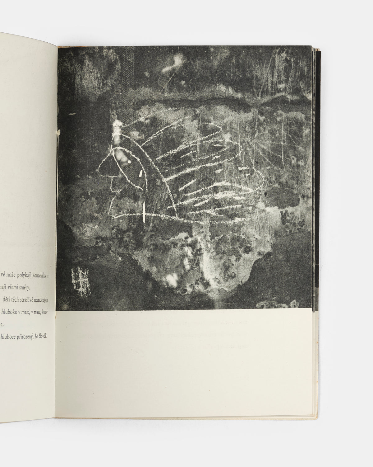 First edition thus of this meditation on resistance, after the scarce original clandestine version with gelatin silver photographs produced by the artists in a small number of copies during the Nazi occupation of Czechoslovakia. 