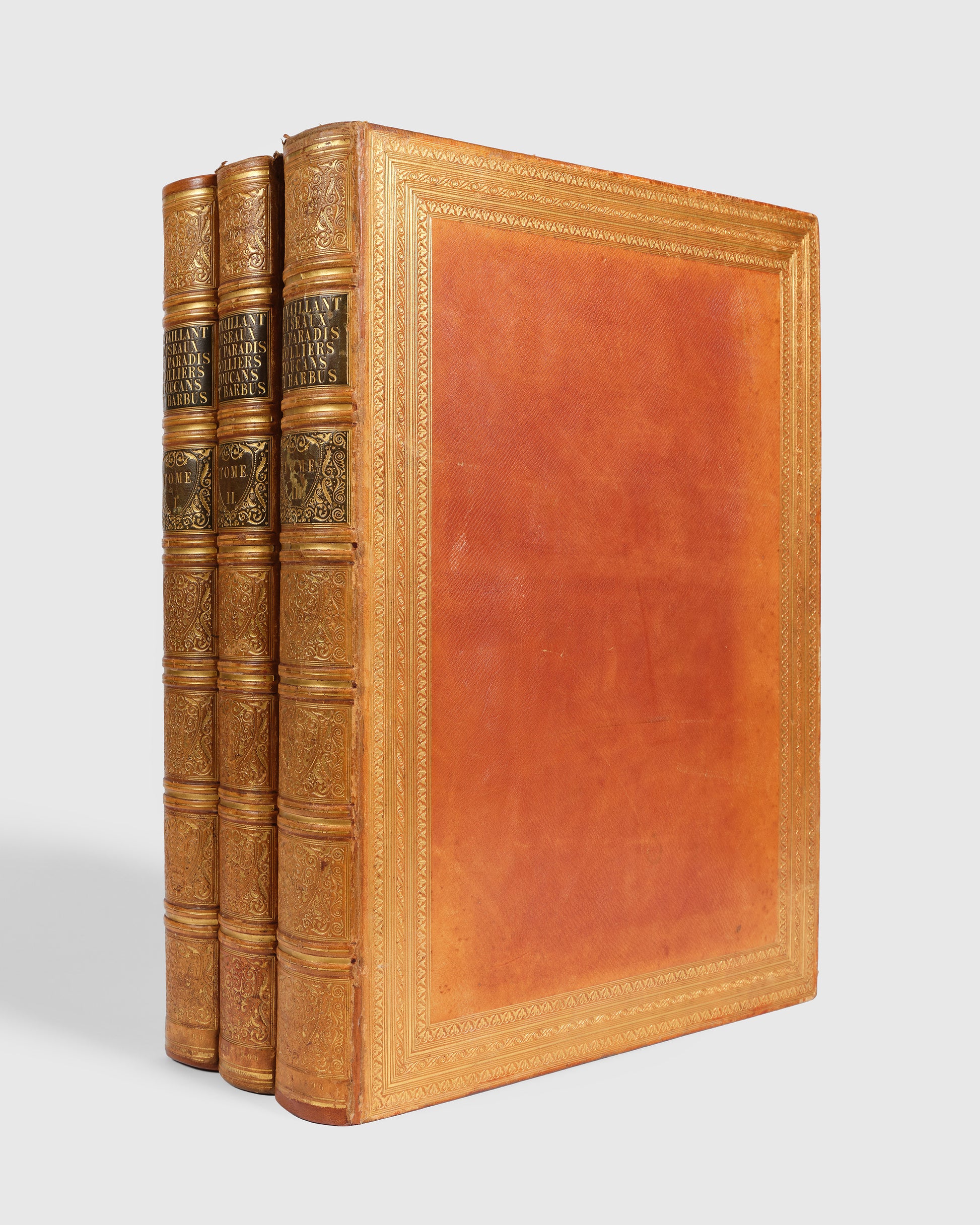 First edition of Levaillant's Histoire Naturelle des Oiseaux de Paradis et des Rolliers with Promerops, et des Guepiers. A rare complete set of deluxe copies on extra-large paper with all plates in two states.