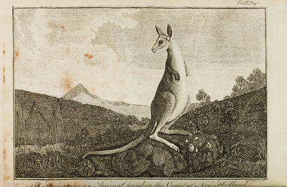 Hawkesworth's An Account of the Voyages for Making Discoveries in the Southern Hemisphere, the fourth edition printed in Scotland with plates freshly re-engraved for this edition.