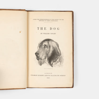 A first edition of The Dog by William Youatt from 1845.