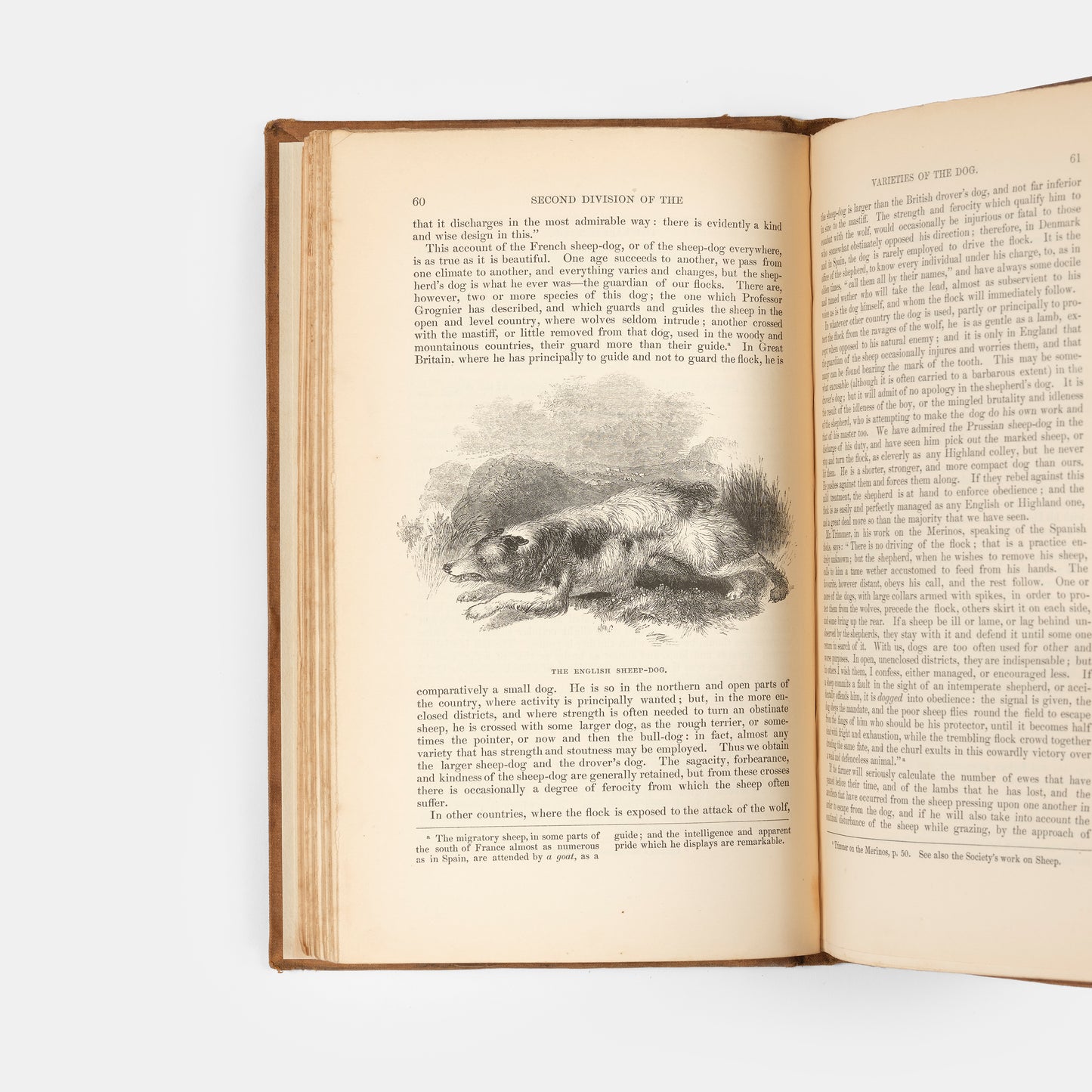 A first edition of The Dog by William Youatt from 1845.