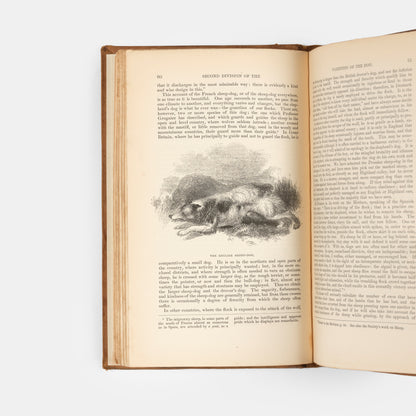 A first edition of The Dog by William Youatt from 1845.