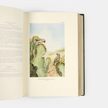 The edition deluxe of Birds of Arabia by Meinerthagen, one of ten specially bound copies with a unique bird of prey design to the front cover.