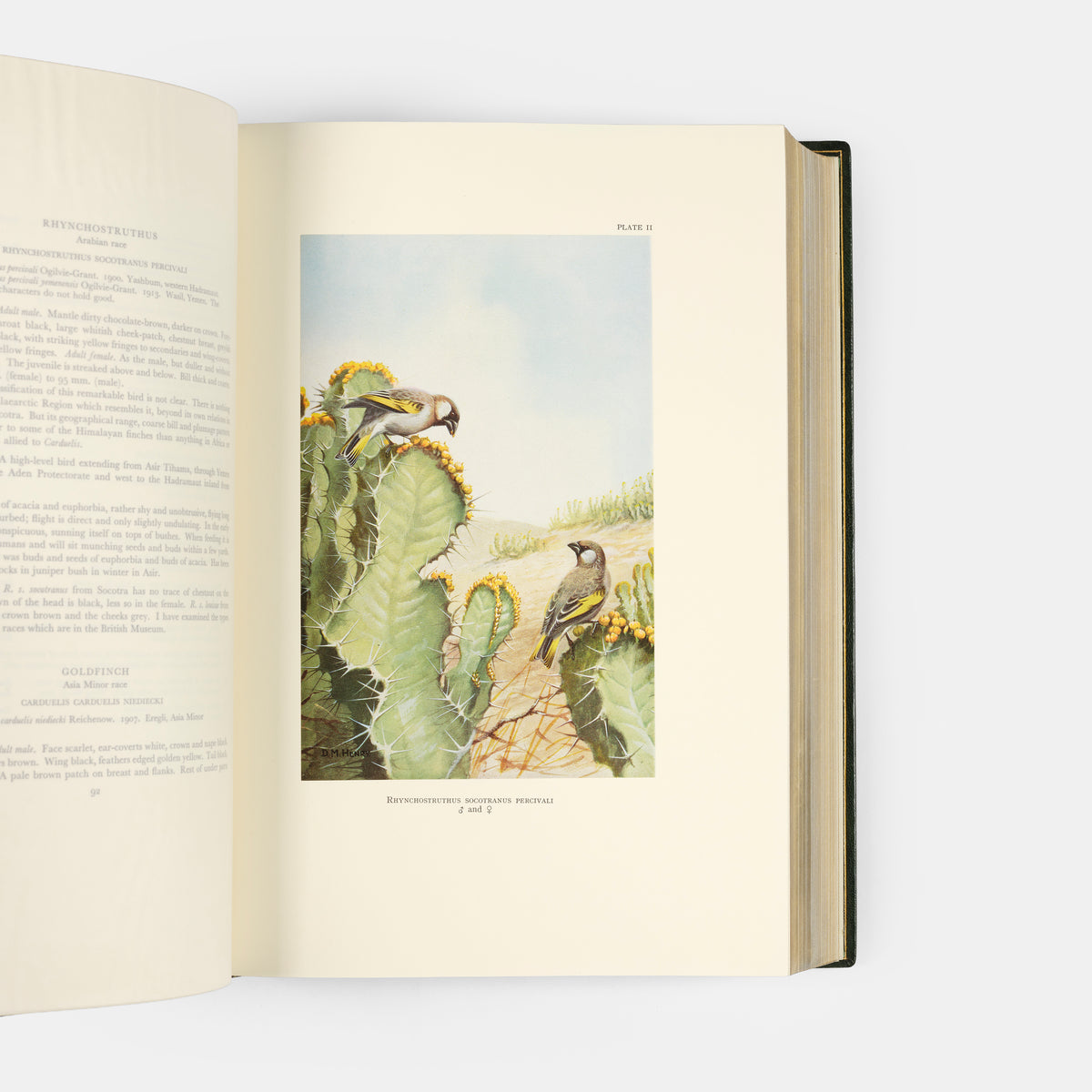 The edition deluxe of Birds of Arabia by Meinerthagen, one of ten specially bound copies with a unique bird of prey design to the front cover.