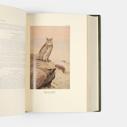The edition deluxe of Birds of Arabia by Meinerthagen, one of ten specially bound copies with a unique bird of prey design to the front cover.