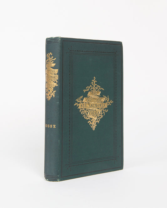 Actinologia Britannica.
