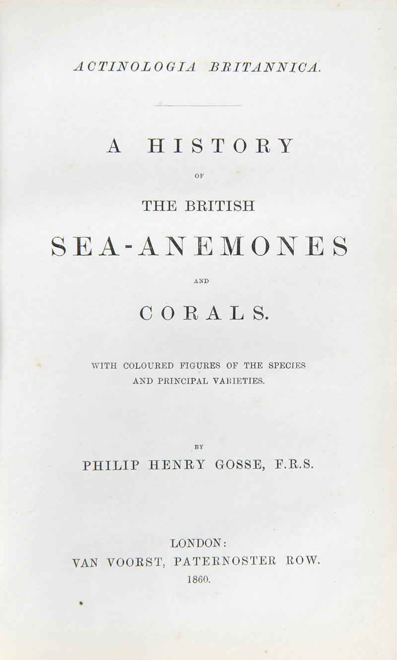 Actinologia Britannica.