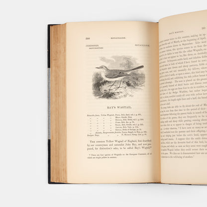 A History of British Birds.
