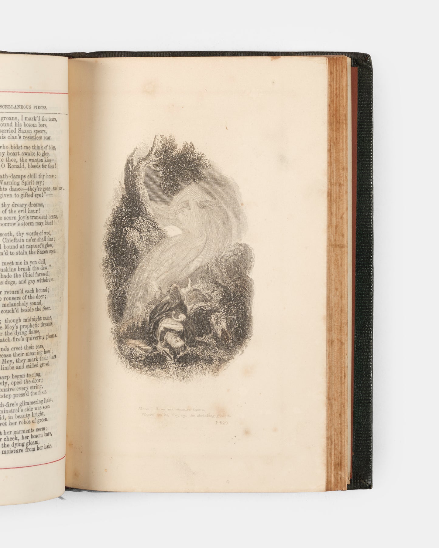 A handsome collection of Sir Walter Scott's Poetical Works, containing an account of his life, as well as six full-page steel engravings in black and white. 