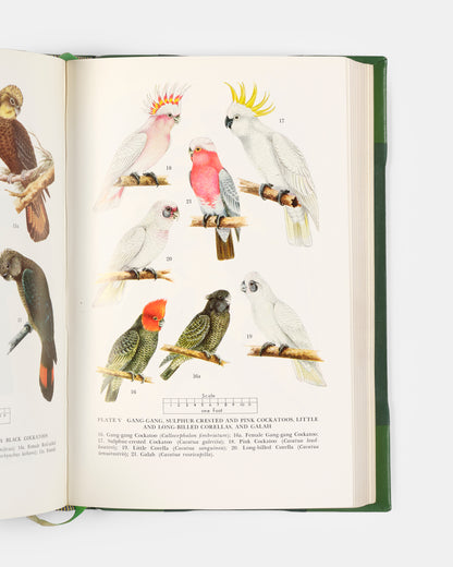 An attractively bound second printing of the standard reference for Australian parrots, Alan Lendon's Australian Parrots in Field and Aviary.