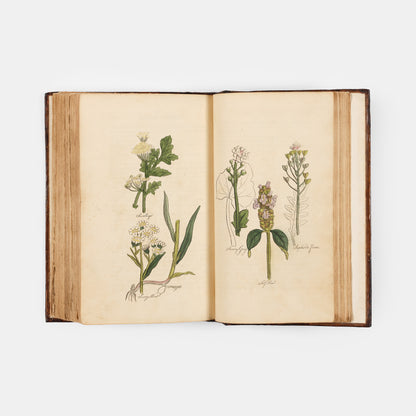 The Family Herbal,