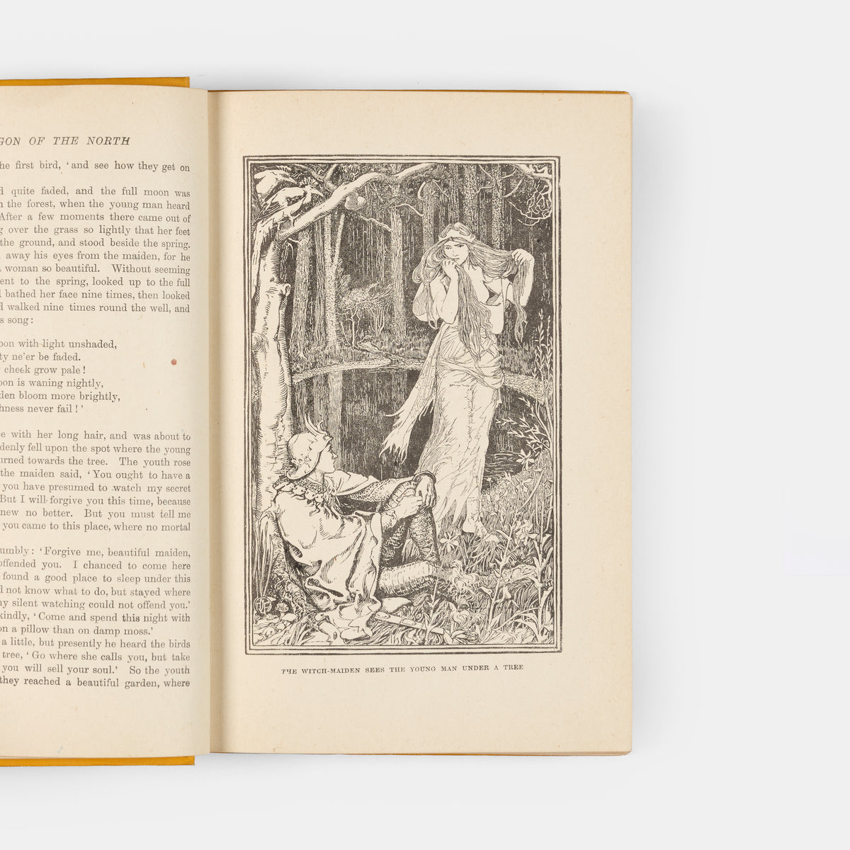 A lovely copy of The Red Fairy Book, edited by Andrew Lang and illustrated by H.J. Ford.