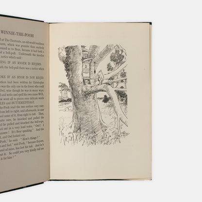 A lovely copy of Winnie-The-Pooh by A.A. Milne with illustrations by E.H. Shepard.