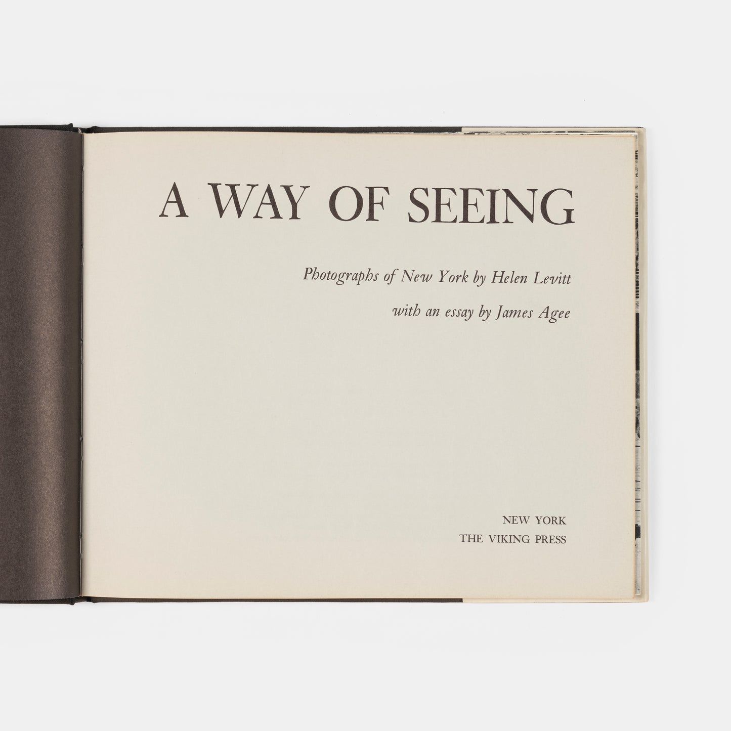 Helen Levitt's A Way of Seeing is a key 'New York' photography book. It was born in 1945 when she and James Agee worked together on In the Street, a documentary film shot in Harlem.