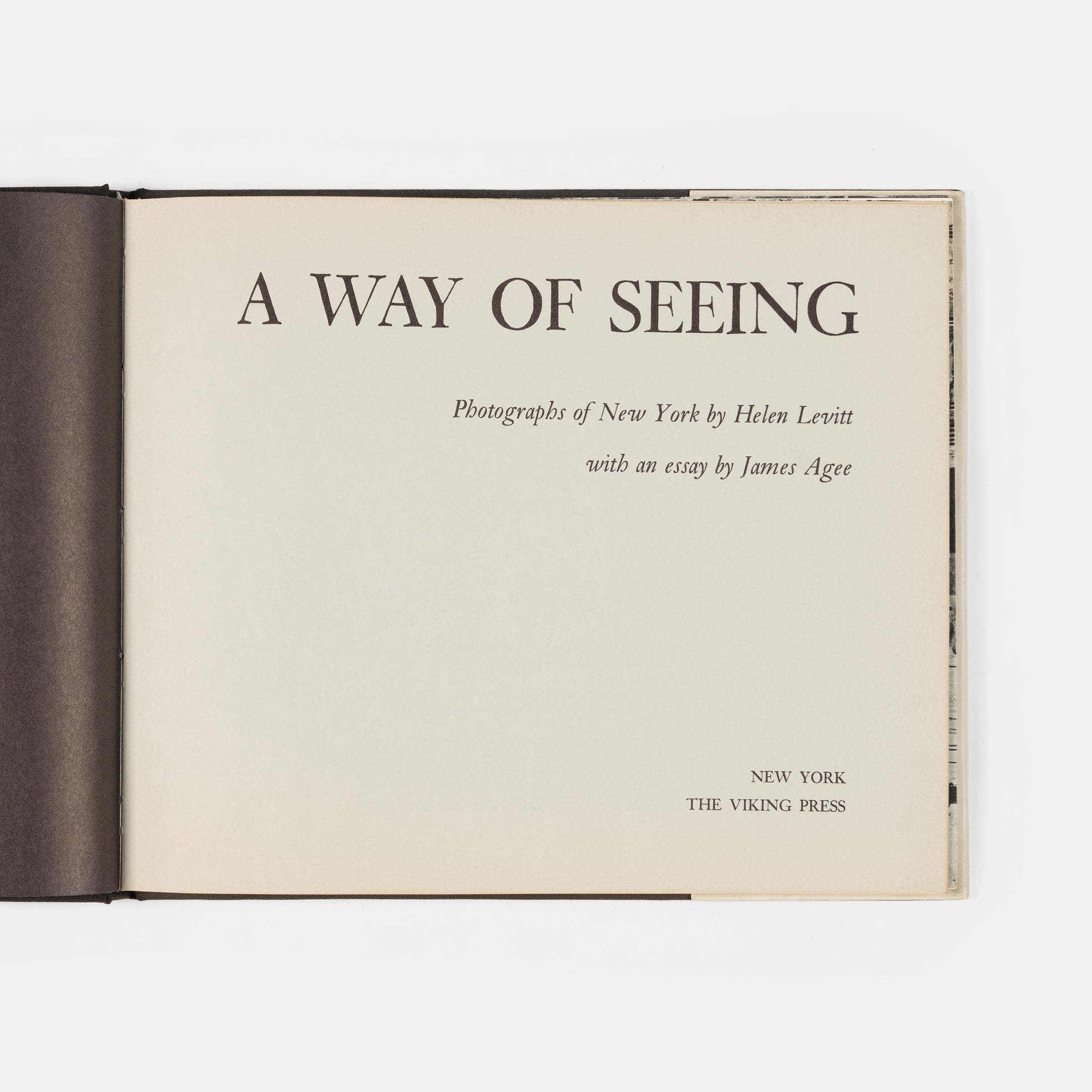 Helen Levitt's A Way of Seeing is a key 'New York' photography book. It was born in 1945 when she and James Agee worked together on In the Street, a documentary film shot in Harlem.