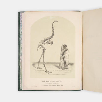 First edition of this ornithological classic, Walter Lowry Buller's History of the Birds of New Zealand, with 36 chromolithographic plates, published in parts in London between 1872 and 1873.