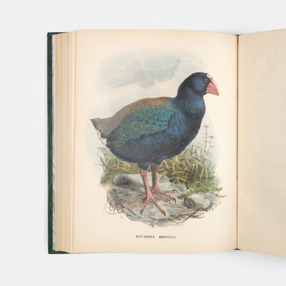 First edition of this ornithological classic, Walter Lowry Buller's History of the Birds of New Zealand, with 36 chromolithographic plates, published in parts in London between 1872 and 1873.