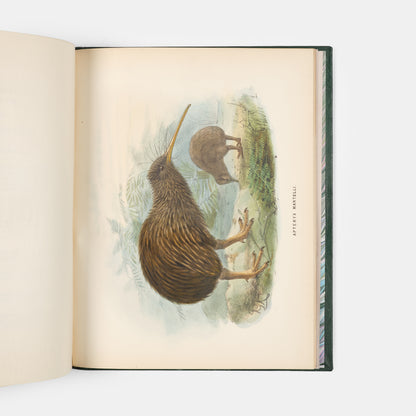 First edition of this ornithological classic, Walter Lowry Buller's History of the Birds of New Zealand, with 36 chromolithographic plates, published in parts in London between 1872 and 1873.