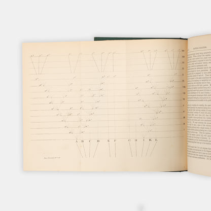 An unusually lovely copy of the important sixth edition of Charles Darwin's The Origin of Species, the first edition in which the term evolution is used