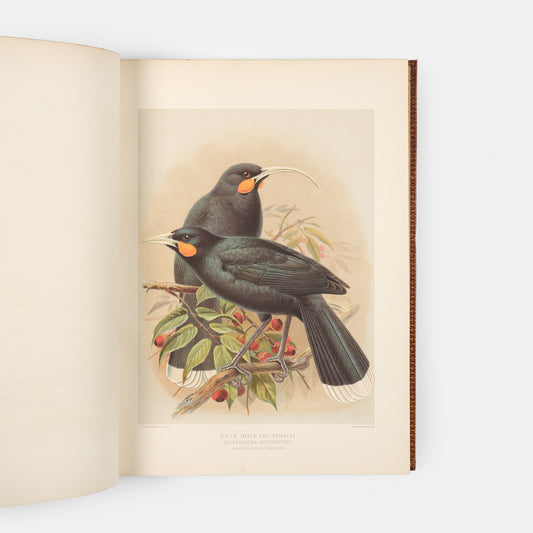Second and preferred edition of the definitive work on New Zealand birds, Walter Lowry Buller's History fo teh Birds of New Zealand, in the publisher's deluxe red morocco.