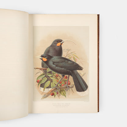 Second and preferred edition of the definitive work on New Zealand birds, Walter Lowry Buller's History fo teh Birds of New Zealand, in the publisher's deluxe red morocco.