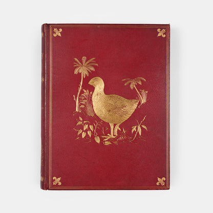 Second and preferred edition of the definitive work on New Zealand birds, Walter Lowry Buller's History fo teh Birds of New Zealand, in the publisher's deluxe red morocco.