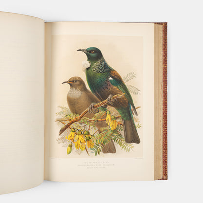Second and preferred edition of the definitive work on New Zealand birds, Walter Lowry Buller's History fo teh Birds of New Zealand, in the publisher's deluxe red morocco.