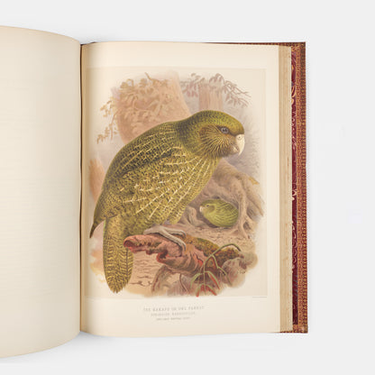 Second and preferred edition of the definitive work on New Zealand birds, Walter Lowry Buller's History fo teh Birds of New Zealand, in the publisher's deluxe red morocco.