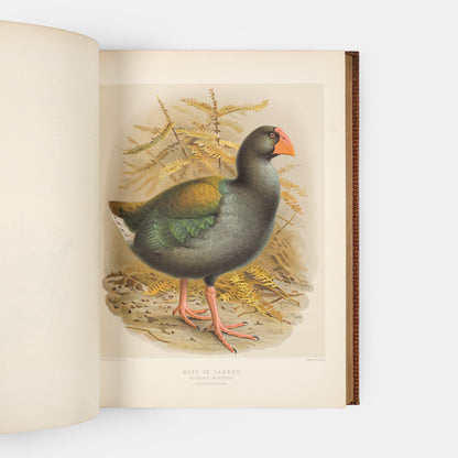 Second and preferred edition of the definitive work on New Zealand birds, Walter Lowry Buller's History fo teh Birds of New Zealand, in the publisher's deluxe red morocco.
