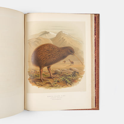 Second and preferred edition of the definitive work on New Zealand birds, Walter Lowry Buller's History fo teh Birds of New Zealand, in the publisher's deluxe red morocco.