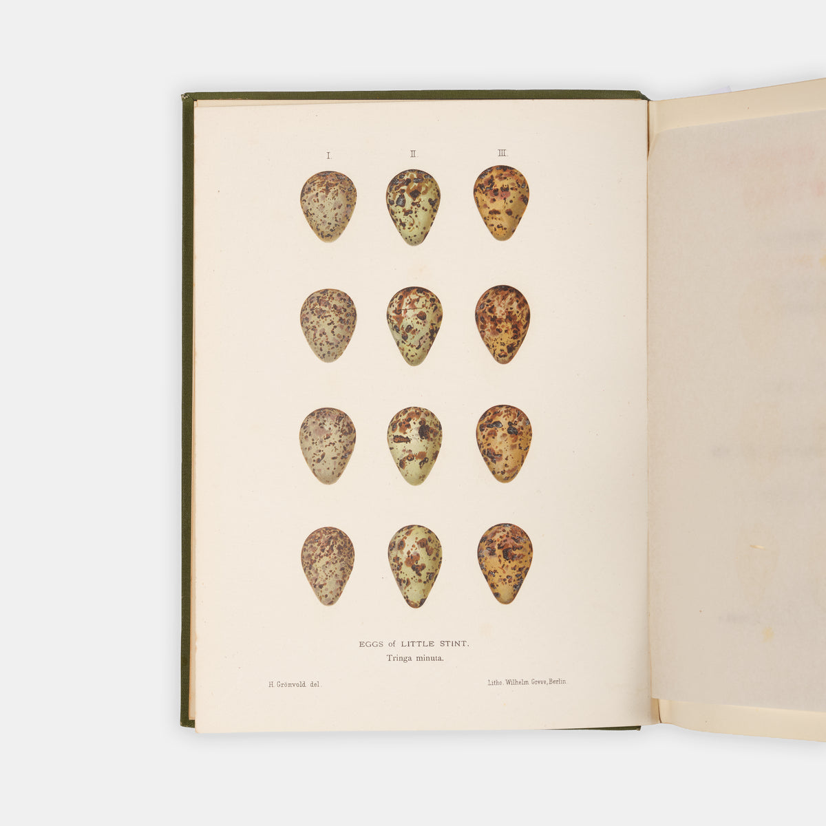First edition, with a signed letter, of Beyond Petsora Eastward by Henry Pearson, a detailed account of an ornithological journey to North Russia and the Barents Sea.