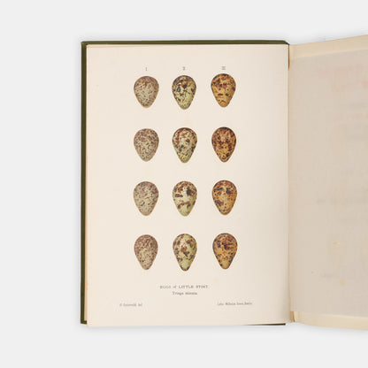 First edition, with a signed letter, of Beyond Petsora Eastward by Henry Pearson, a detailed account of an ornithological journey to North Russia and the Barents Sea.