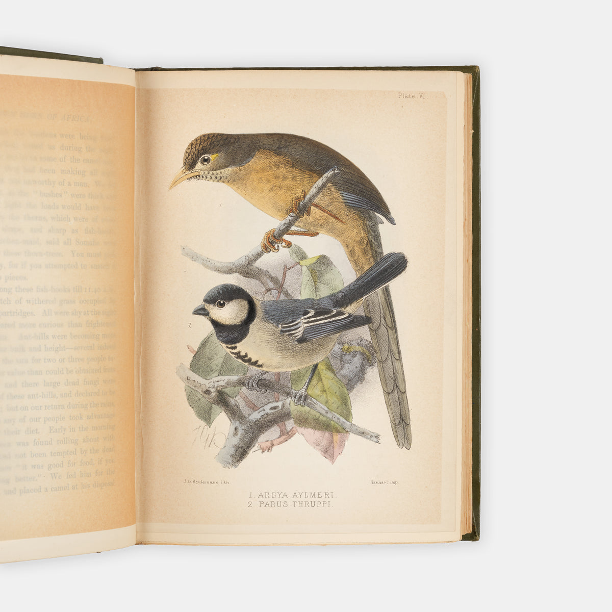 The Deluxe issue of the first edition, with the plates hand-coloured, of The Unknown Horn of Africa by Frank Linsly James.