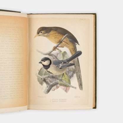 The Deluxe issue of the first edition, with the plates hand-coloured, of The Unknown Horn of Africa by Frank Linsly James.