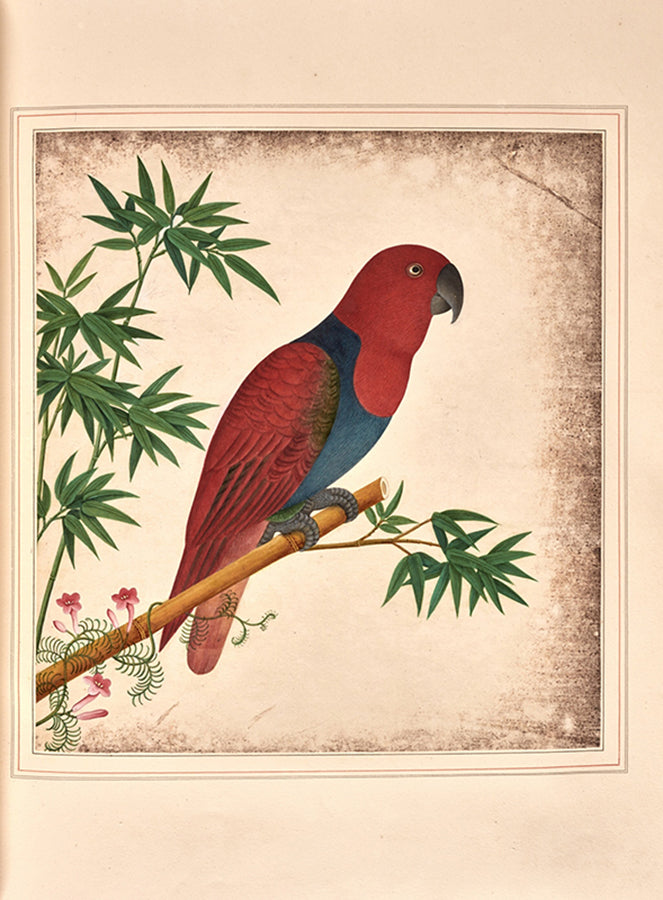 A sumptuous collection of 244 mounted watercolours depicting Chinese silkworm cultivation, birds, Asian fruits and flowers, exlibris Duke of Marlborough.