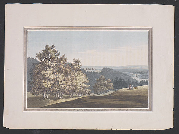 [Views along the Thames] Scene at Park Place including the Druids Temple.