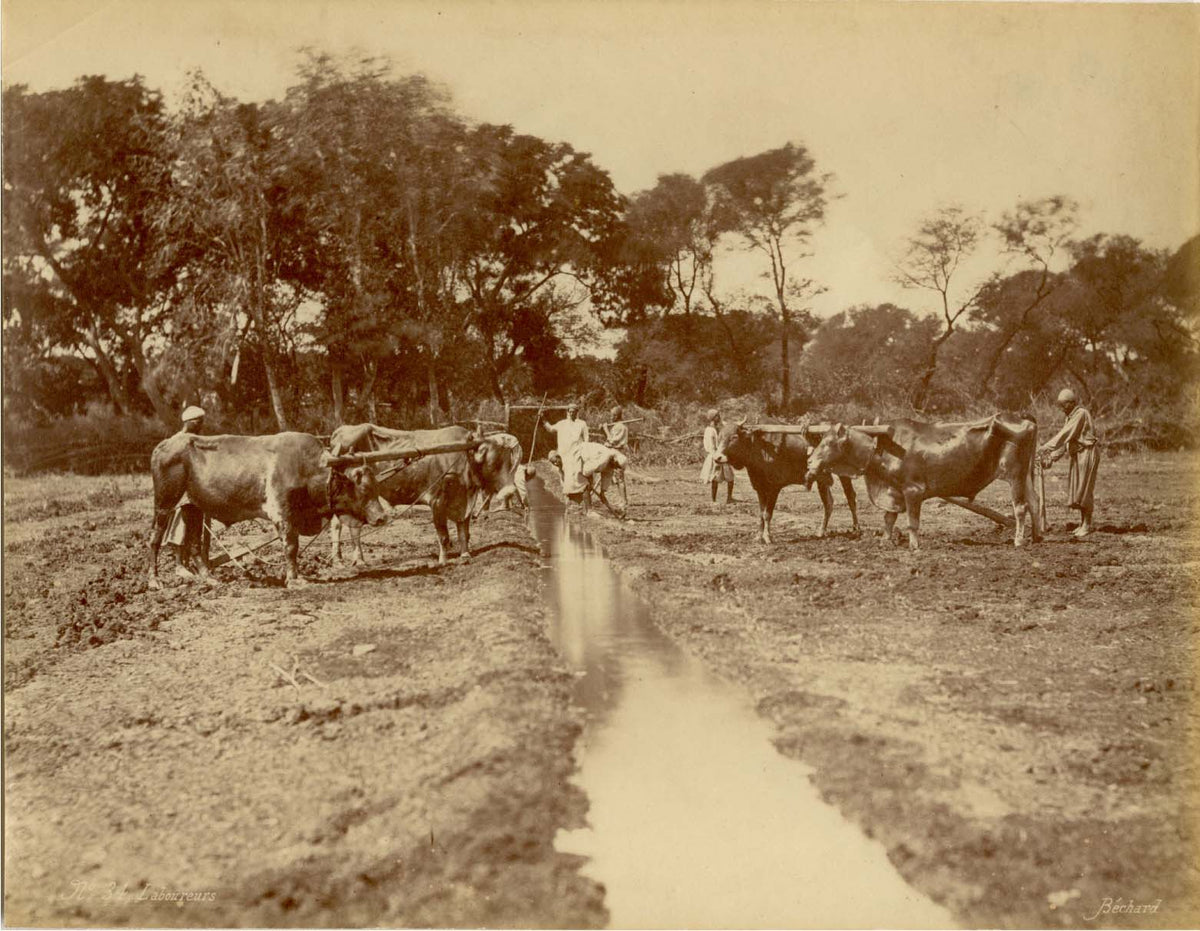 Farmers.