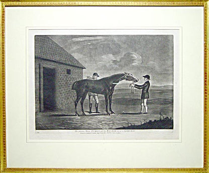 Careless (with jockey); Cardinal Puff; Pumpkin; Careless Beating Atlas.